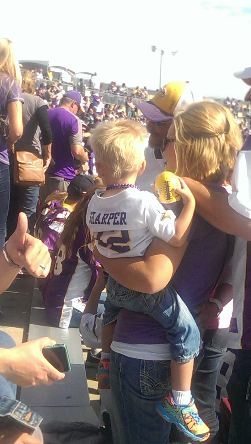 Illustration for article titled Please Do Better, Vikings Fans